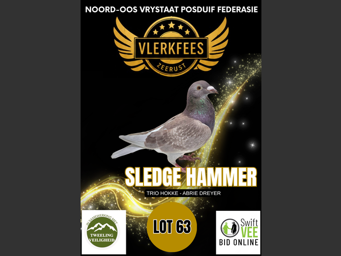 SLEDGE HAMMER | TRIO HOKKE - ABRIE DREYER