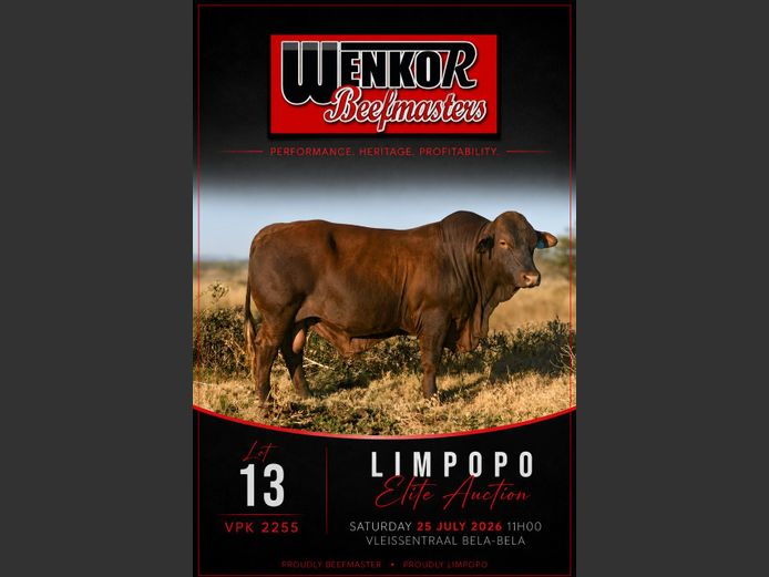 VPK220055 | WENKOR BEEFMASTERS