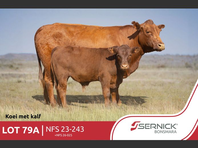 NFS 230243 | SERNICK BONSMARA STOET