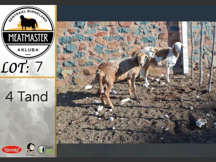 Ooie | H Koekemoer Meatmasters