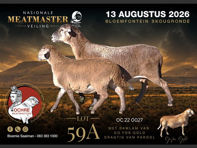 OC 22 0027 | Ochre Meatmasters