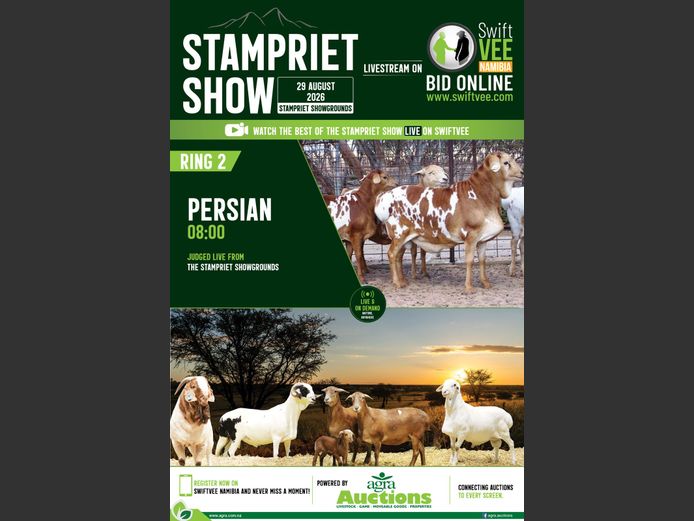 STAMPRIET SHOW RING 2 PERSIAN