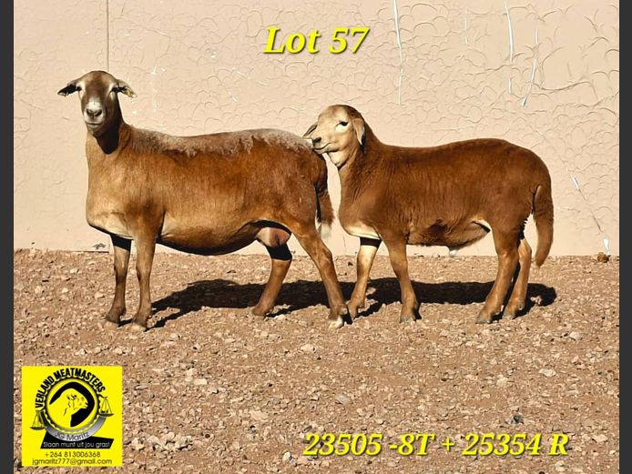VERLAND MEATMASTERS | 23505