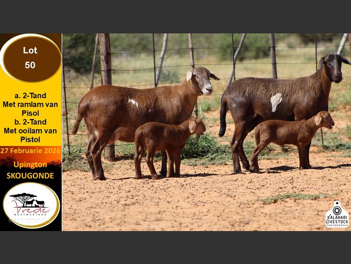 PS 50A | Peter & Christia Scholtz - Vrede Meatmasters