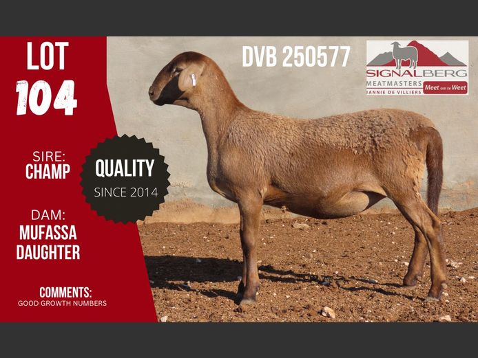 DVB 250577 | SIGNALBERG MEATMASTERS