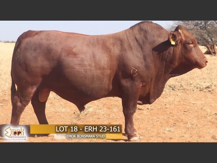 ERH230161 | EMOK BONSMARASTOET