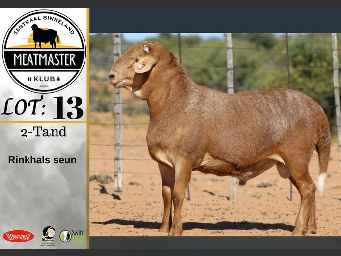 PS 111 | Vrede Meatmasters