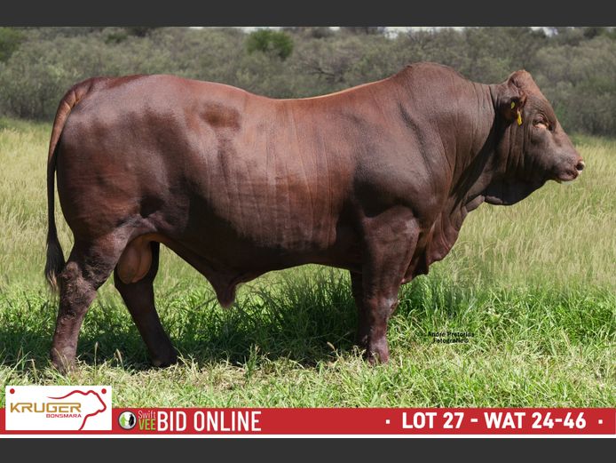 WAT 240046 | KRUGER BOERDERY