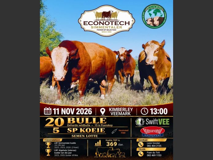 ECONOTECH SIMMENTALER VEILING