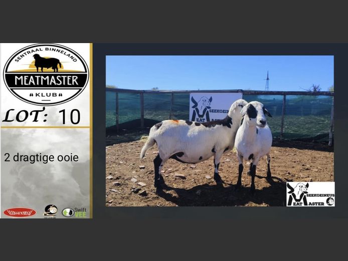 Ooie | Seekoeineus Meatmasters