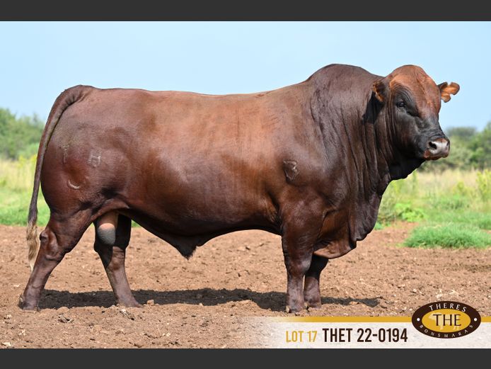 THET 220194 | APT TRUST