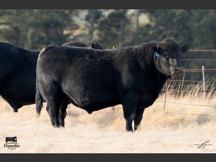 KCM 230018 | TABLE HILL FARMING PTY LTD