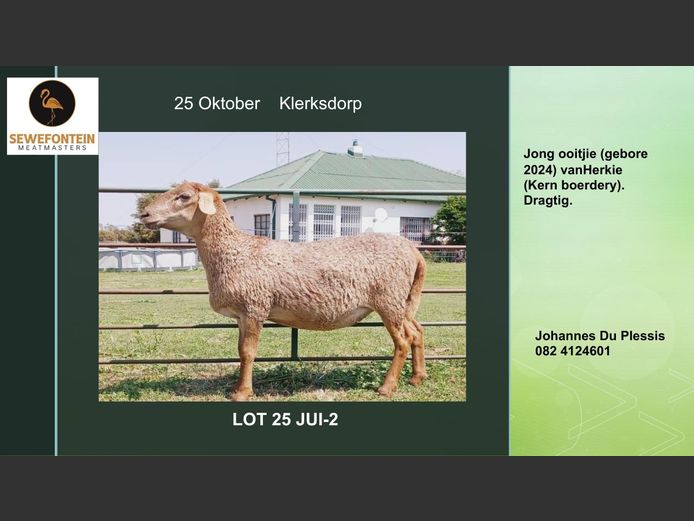 JUI -2 | Zevenfontein Meatmasters