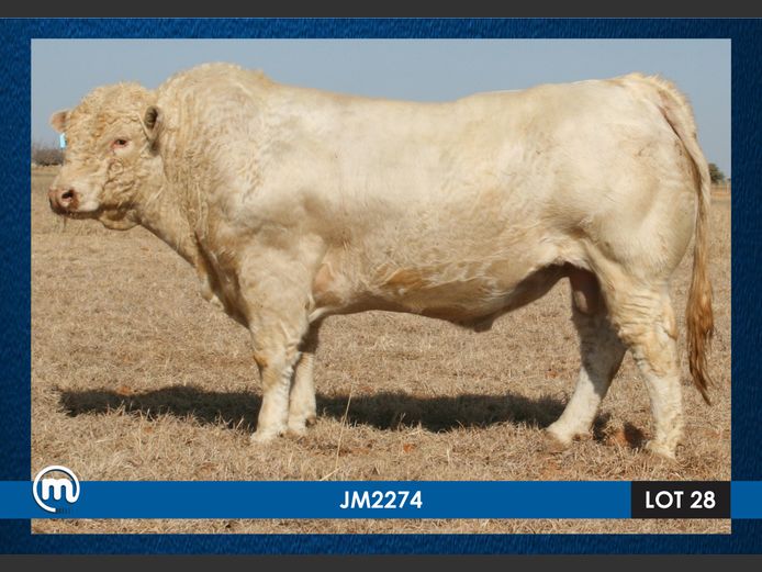 JM 220074
