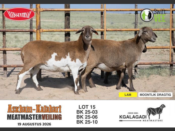 BK 25-10 | BARRI KNOETZE