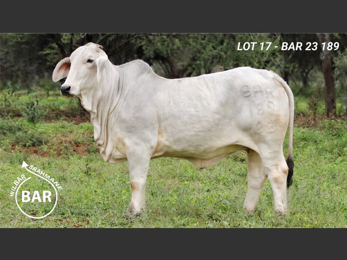 BAR23189 | BARNARD WJ