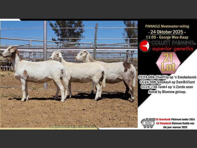 CC  240698 | COLLETT FARMING CC