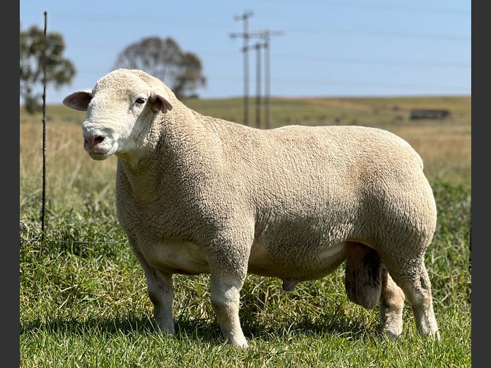 JB240103 | J.A BARNARD