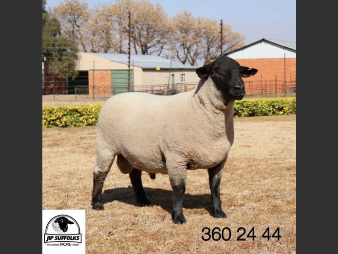 360240044 | J.I. POTGIETER