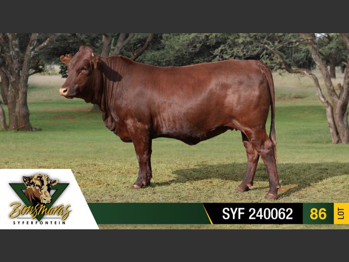 SYF 240062 | SYFERFONTEIN BOERDERY