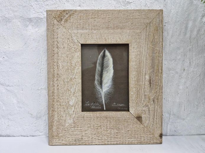 "Le Poids Des Ans" by E. Vasse (2000) – Framed Feather Study in Rustic Wood
