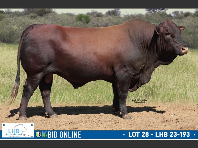 LHB 230193 | LEEUHEUWEL BOERDERY (EDMS) BPK