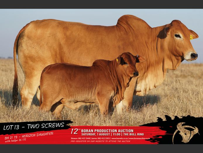 BH 210073 | HURWITZ FARMING