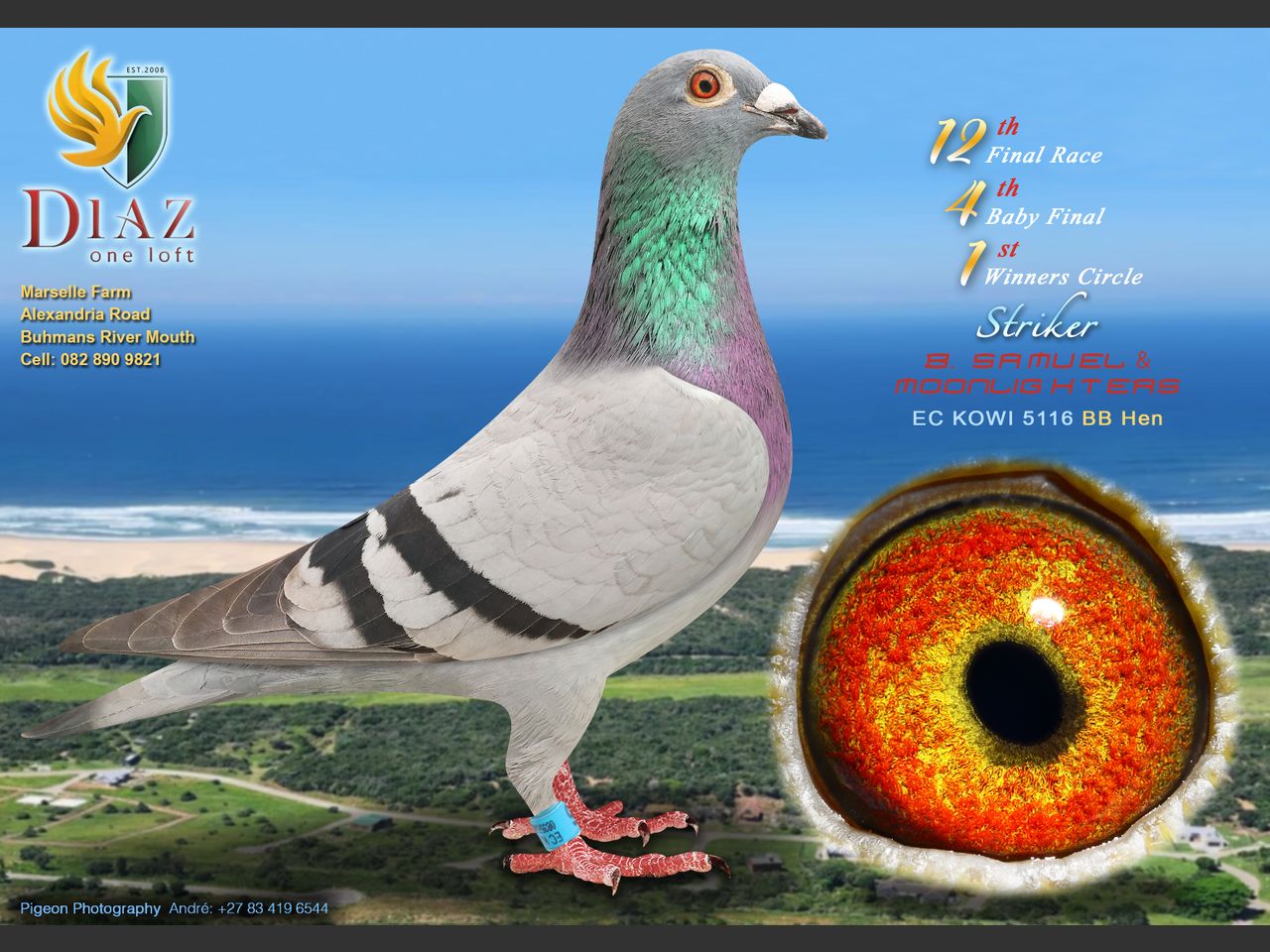 images