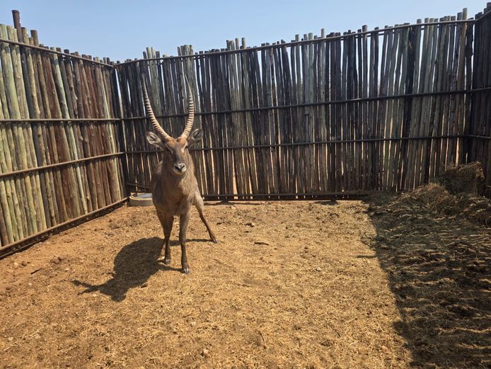 WATERBOK | HANLEY