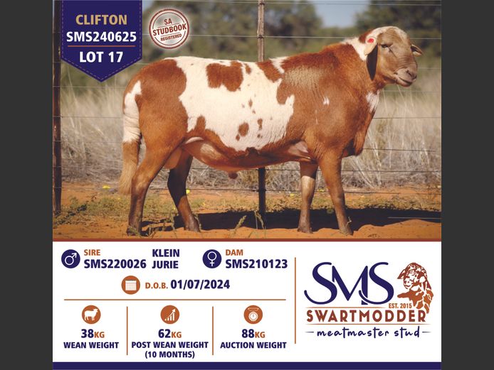SMS240625 | SWARTMODDER MEATMASTER STUD