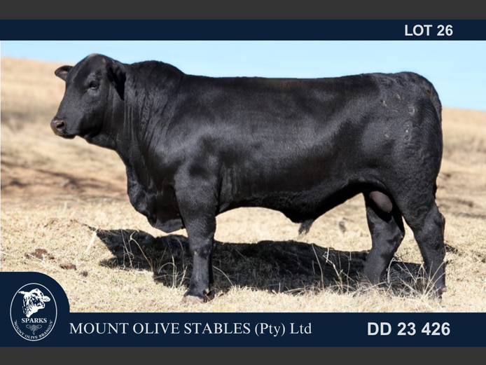 DD23426 | MOUNT OLIVE STABLES (PTY) LTD