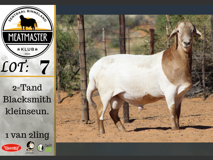 PS 107 | Vrede Meatmasters