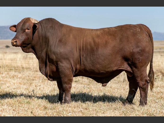 SP 230098 HH | PINEKLOOF TRUST