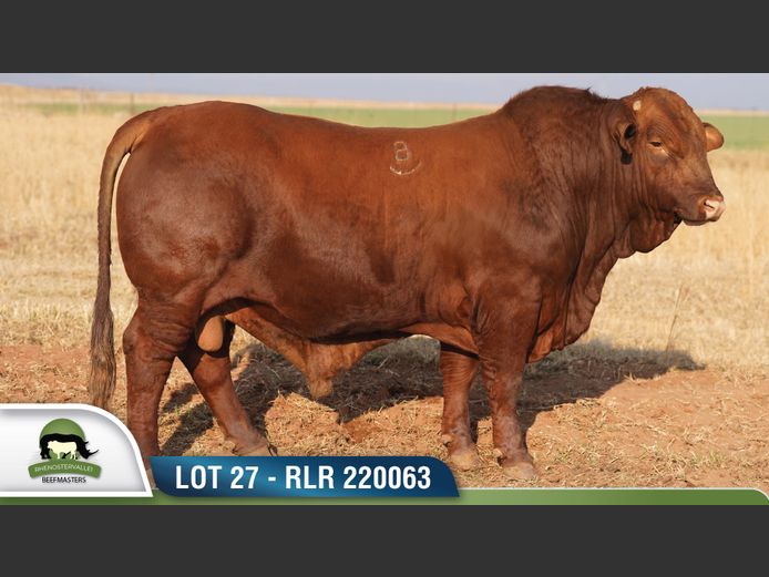 RLR 220063 | RHENOSTERVALLEI