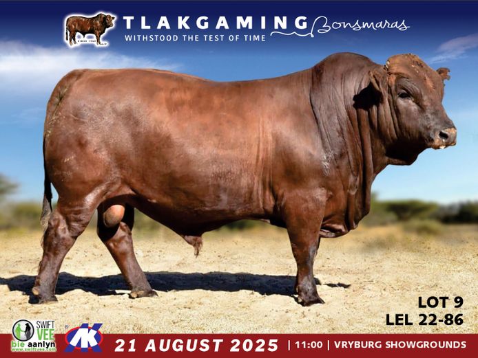 LEL220086 | LEE & SON
