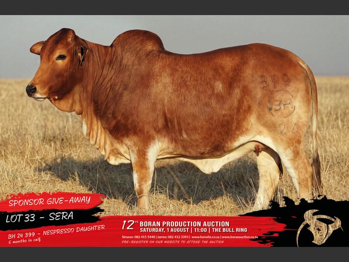 BH 240399 | HURWITZ FARMING