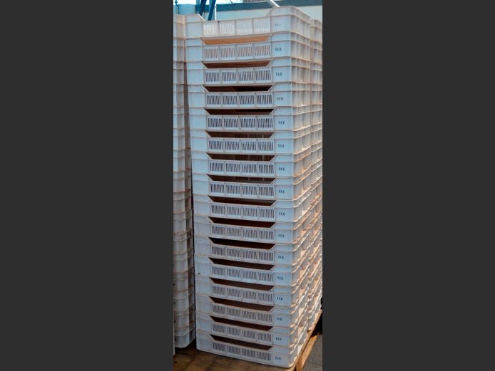 LOT OF 16: PLASTIC FRUIT CRATES