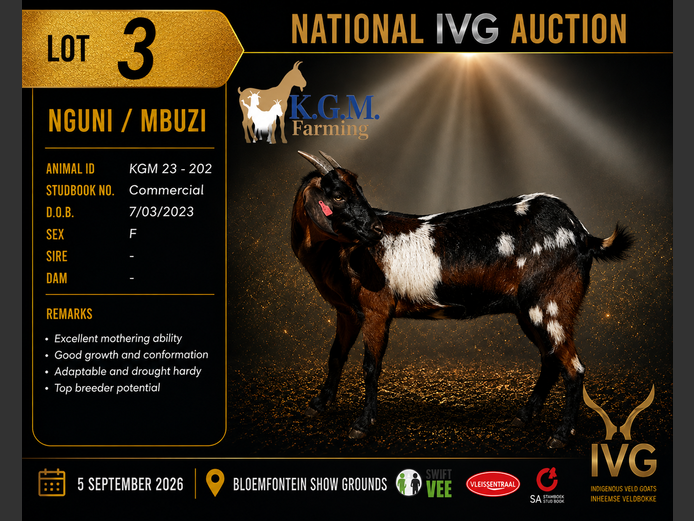 KGM 23-202 | KGM LIVESTOCK