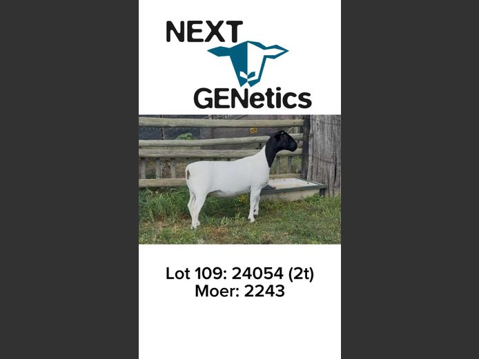 24054 | NEXT GENETICS