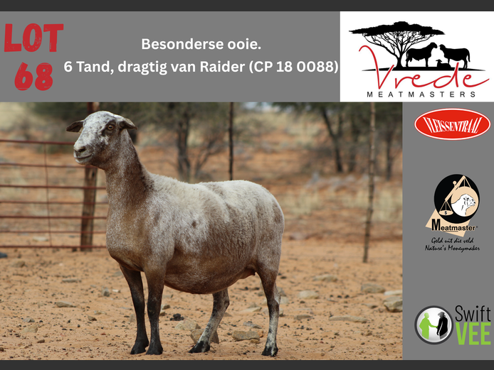 PS 22 023 | Peter & Christia Scholtz - Vrede Meatmasters