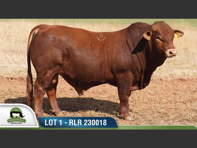 RLR 230018 | RHENOSTERVALLEI