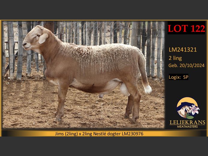 LM241321 | LELIEKRANS MEATMASTERS