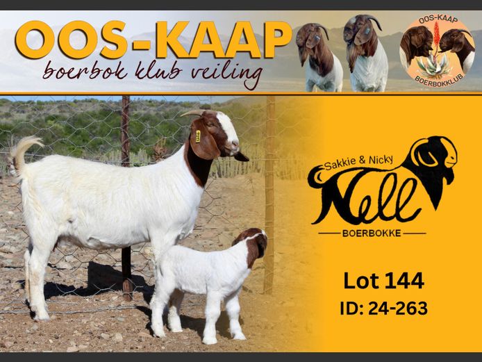 24-263 | Sakkie en Nicky Nell Boerbokke