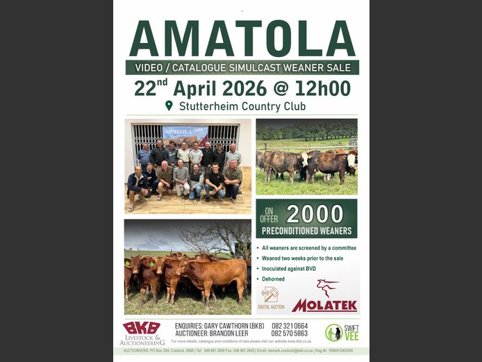 AMATOLA WEANER SALE