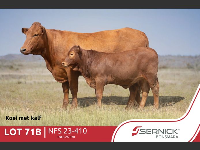 NFS 230410 | SERNICK BONSMARA STOET