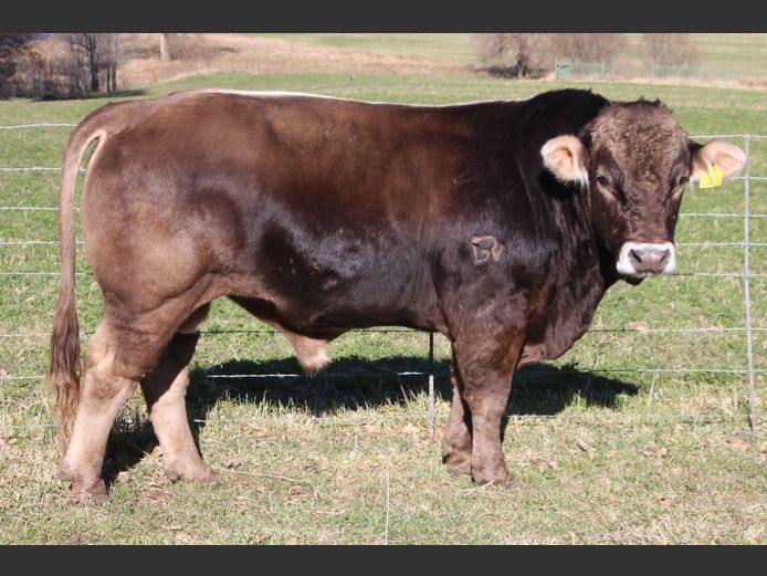 N 220013 | EDUAN BOERDERY