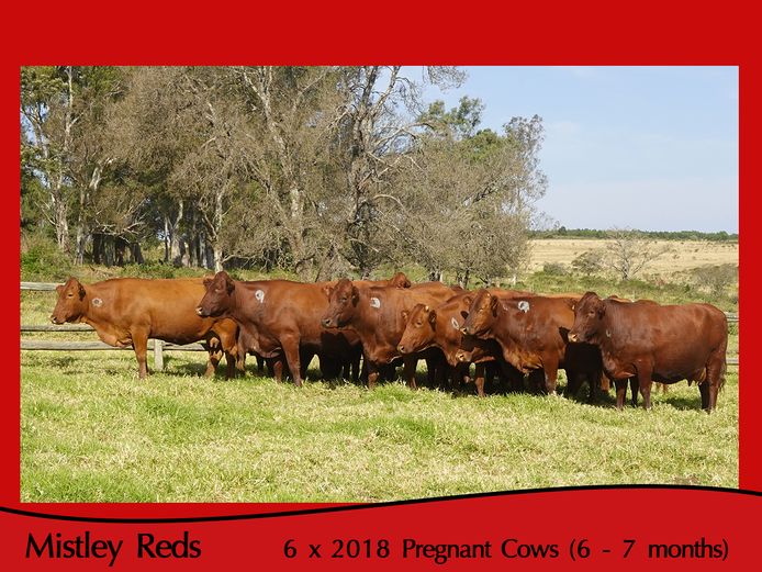 Commercial Animals | Mistley Red - Les Trollope