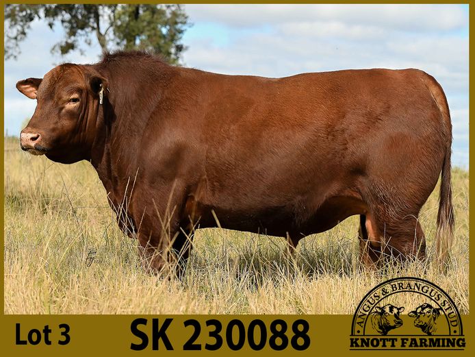 SK 230088 | KNOTT FARMING (PTY) LTD