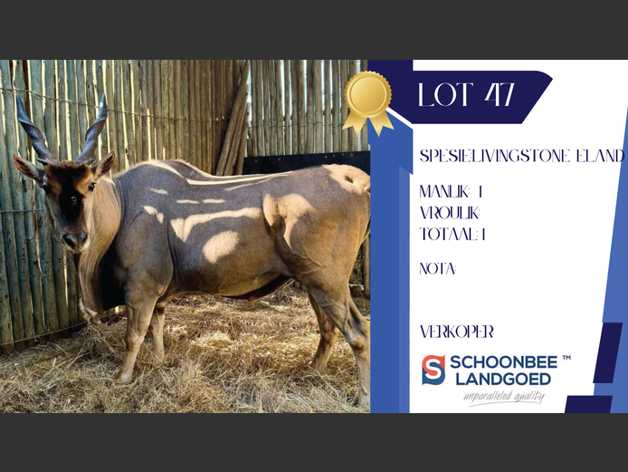 LIVINGSTONE ELAND | SCHOONBEE LANDGOED