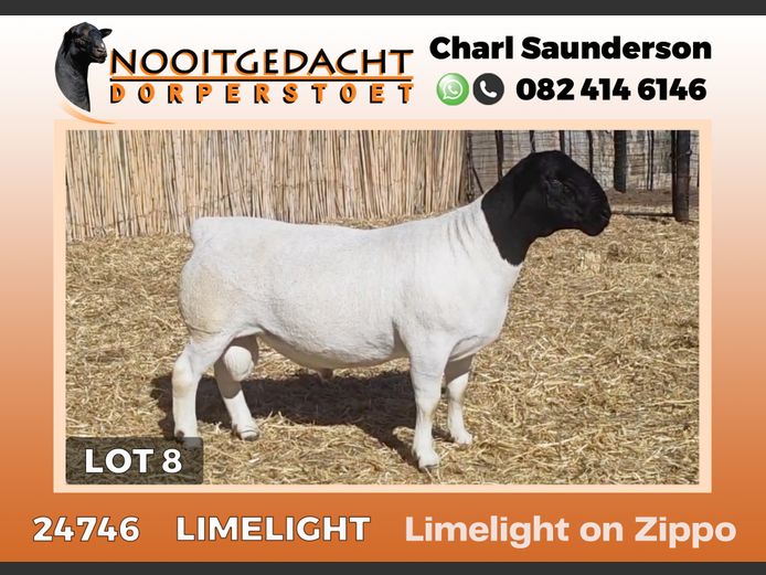24746 | NOOITGEDACHT  DORPERS
